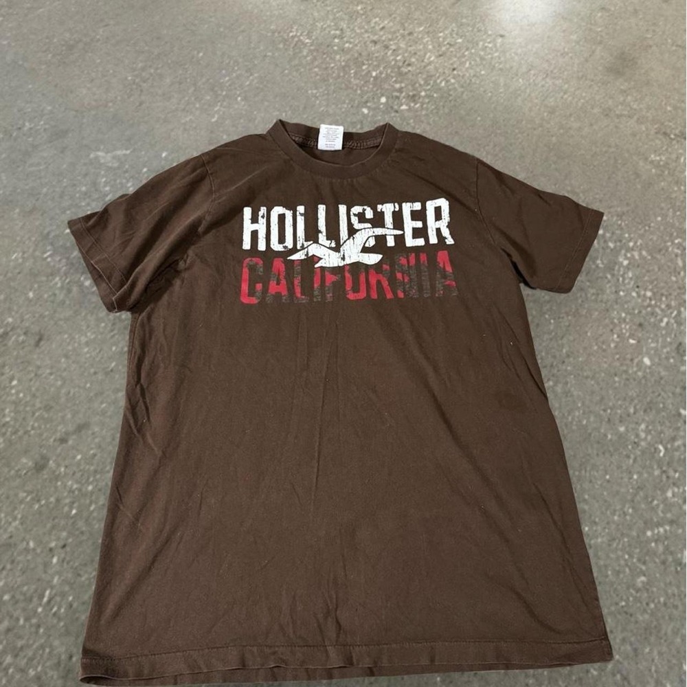 Hollister California Graphic Shirt Mens Large Brown Y2K Short Sleeve Tee